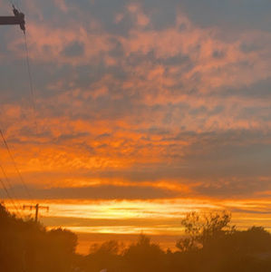 Meet your Posher, Eloise